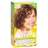 Garnier Nourishing Color Treatment with Fruit Oil Concentrates, Level 3 Permanent, Light Auburn 67  - 1ea image 0