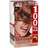 Garnier 100% COLOR Permanent Color Ultra-Lift Browns - UB-1 Cool Brown - 1 EA image 0