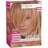 L'Oreal Hi-Light Styliste Brush-On Highlights H80 Golden Honey - 1 EA image 0