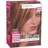 L'Oreal Hi-Light Styliste Brush-On Highlights H50 Toasted Almond - 1 EA image 0