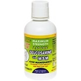 Life-Line Glucosamine With MSM Liquid Lemon Lime Maximum Strength - 16 OZ