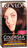 Revlon Ammonia-Free Haircolor, Level 3 Permanent, Dark Soft Brown 33/3WB  - 1ea image 0
